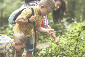 Kinder erforschen mit einer Lupe den Wald. Büsche im Vordergrund und Bäume im Hintergrund.