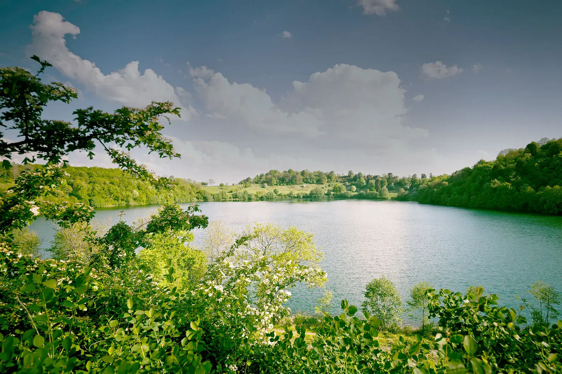Blick auf ein Dauner Maar mit grüner Landschaft Blick auf ein Dauner Maar mit grüner Landschaft