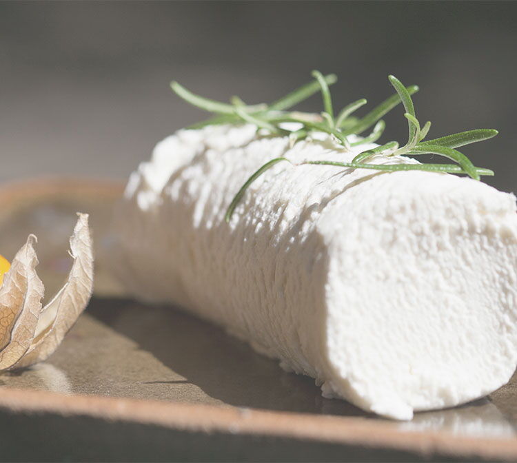 Detailaufnahme eines Ziegenkäses aus der regionalen Vulkanhof Ziegenkäserei