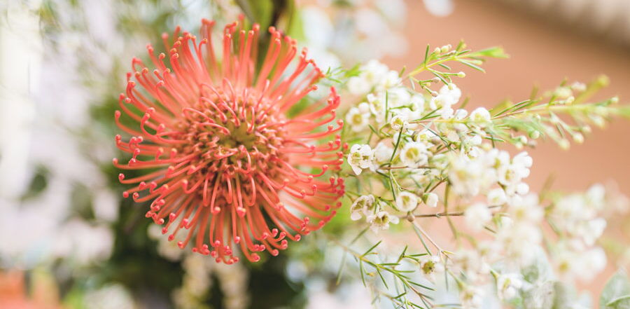 Detailaufnahme Blumendeko im Hotelzimmer des Grafenwald