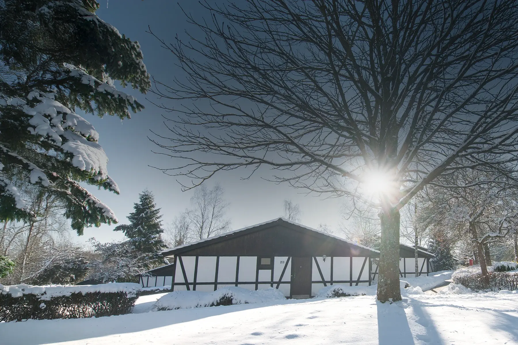 Ferienhaus des Sporthotel Grafenwald in Schneelandschaft mit Sonnenschein Ferienhaus des Sporthotel Grafenwald in Schneelandschaft mit Sonnenschein