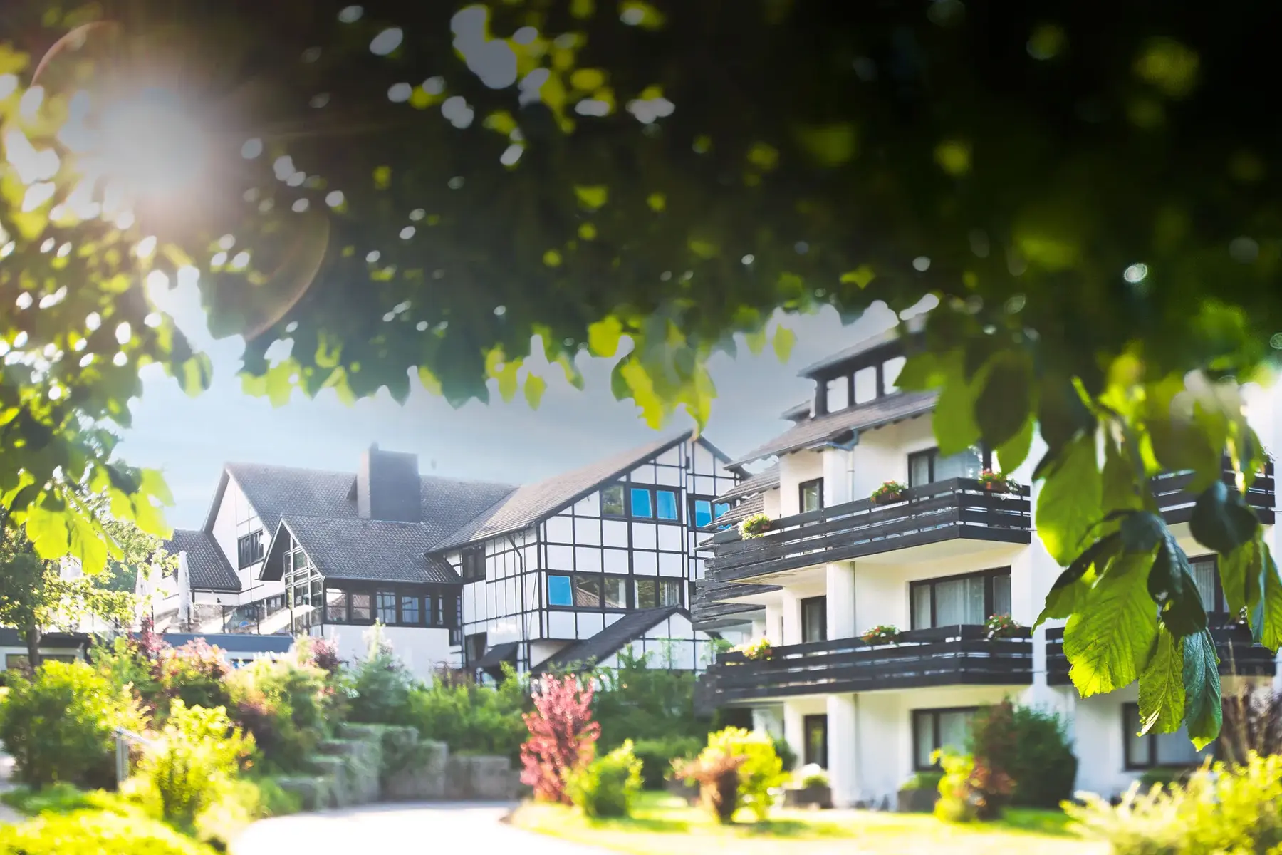 Blick durch Bäume hindurch auf das Haupthaus der Anlage Blick durch Bäume hindurch auf das Haupthaus der Anlage