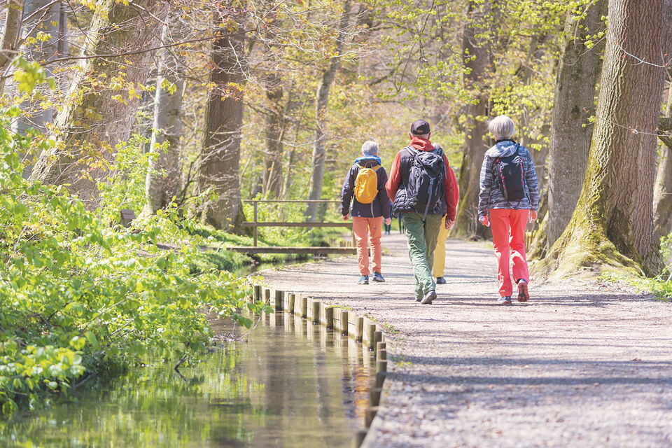Gruppe von Wanderern läuft durch die Wälder der Vulkaneifel